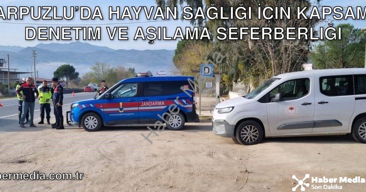 "Karpuzlu’da Hayvan Sağlığı İçin Kapsamlı Denetim ve Aşılama Seferberliği" başlıklı haber için fotor