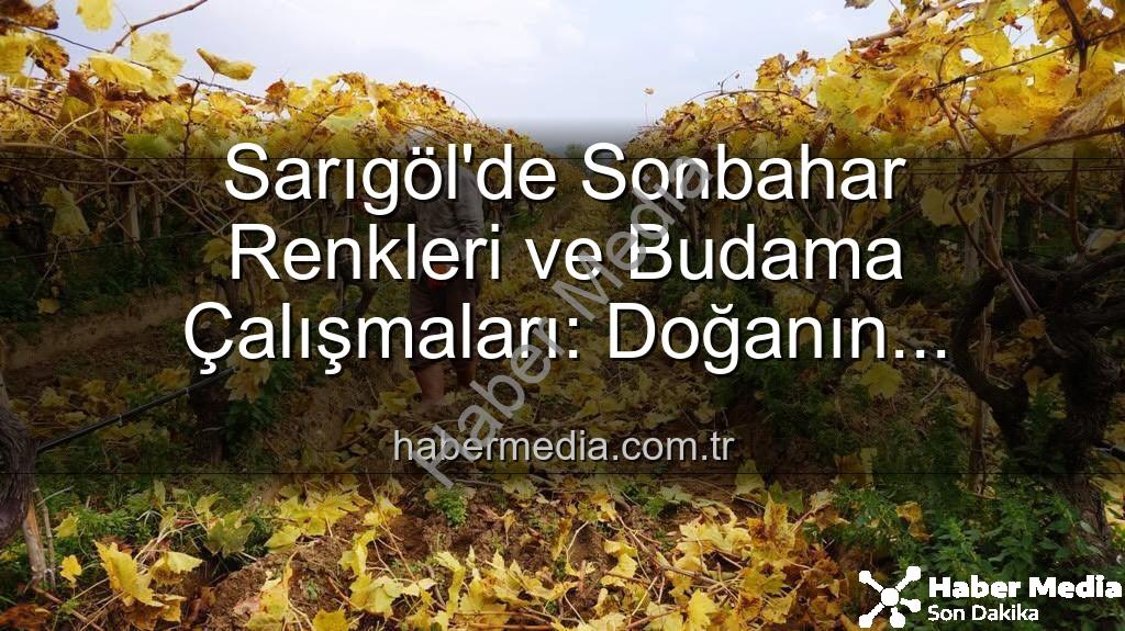 Sarıgöl bağ budama - Sarıgöl'de Sonbahar Renkleri ve Budama Çalışmaları: Doğanın Kucağında Huzurlu Bir İş Başlangıcı