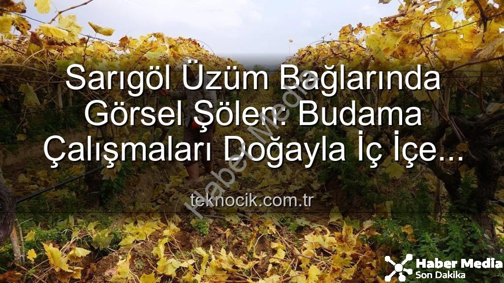 Sarıgöl'de budama - Sarıgöl'de Sonbaharın Büyüsü: Üzüm Bağlarında Kartpostallık Manzaralar Eşliğinde Budama Zamanı