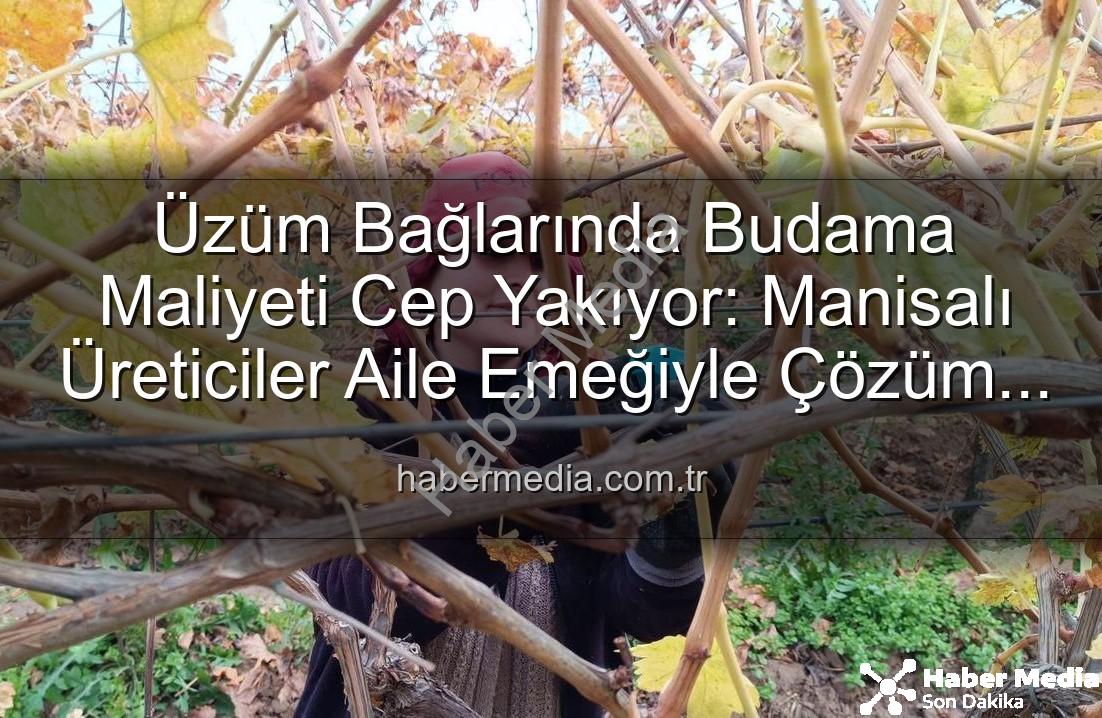 budama maliyeti - Üzüm Bağlarında Budama Maliyeti Cep Yakıyor: Manisalı Üreticiler Aile Emeğiyle Çözüm Buluyor