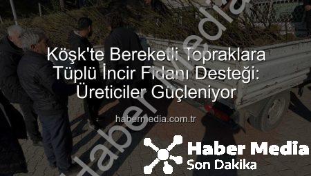 Köşk’te Bereketli Topraklara Tüplü İncir Fidanı Desteği: Üreticiler Güçleniyor