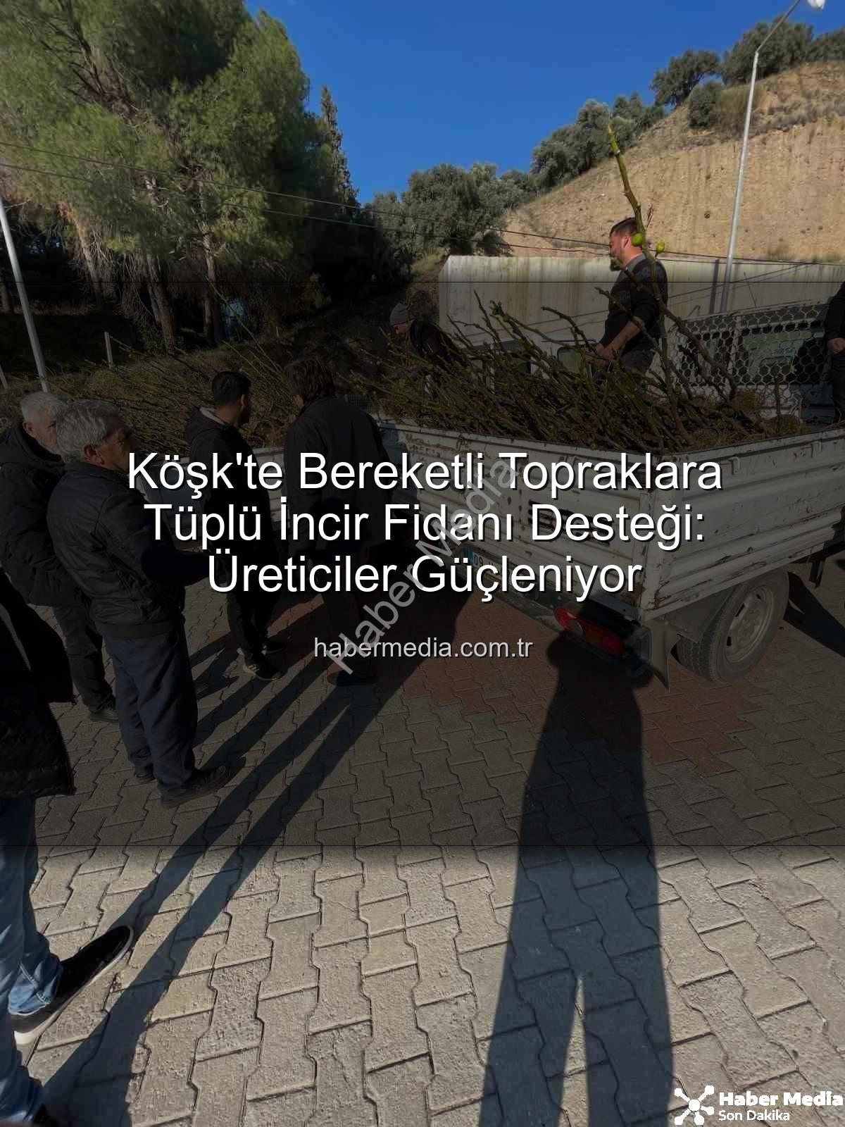 tüplü incir fidanı - Köşk'te Bereketli Topraklara Tüplü İncir Fidanı Desteği: Üreticiler Güçleniyor