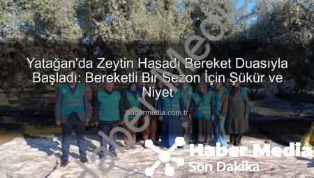 Yatağan’da Zeytin Hasadı Bereket Duasıyla Başladı: Bereketli Bir Sezon İçin Şükür ve Niyet