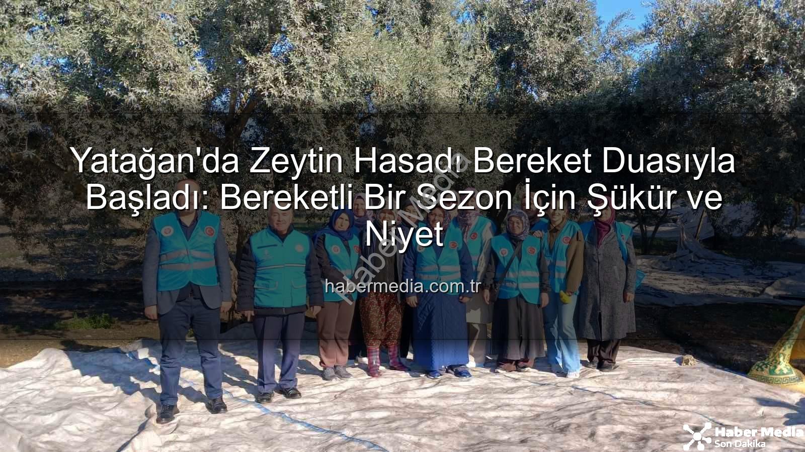 Yatağan'da Zeytin Hasadı Bereket Duasıyla Başladı: Bereketli Bir Sezon İçin Şükür ve Niyet