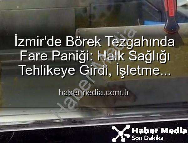 börek tezgahında fare - İzmir'de Börek Tezgahında Fare Paniği: Halk Sağlığı Tehlikeye Girdi, İşletme Mühürlendi