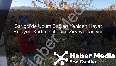 Sarıgöl’de Üzüm Bağları Yeniden Hayat Buluyor: Kadın İstihdamı Zirveye Taşıyor