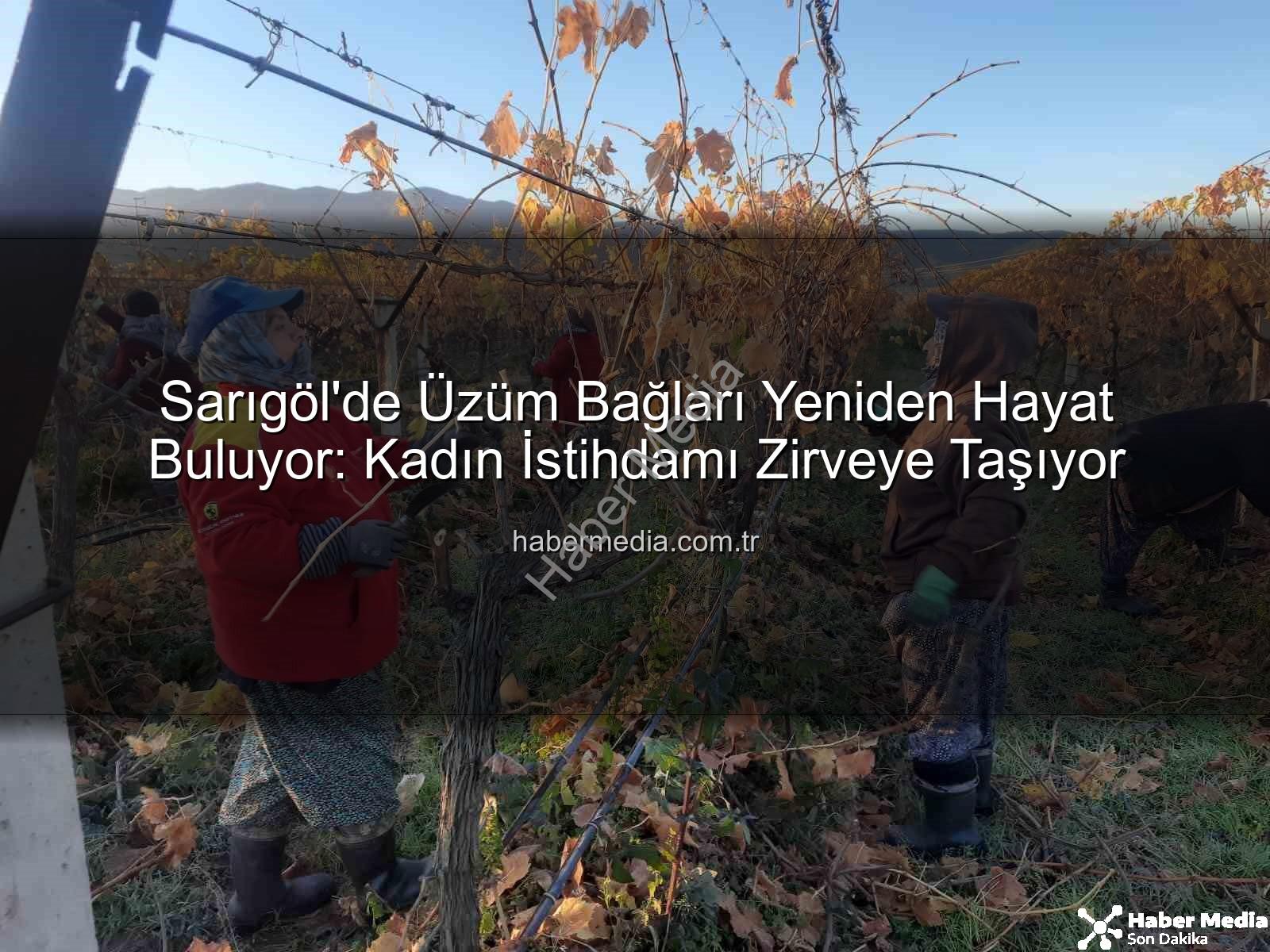 kadın istihdamı - Sarıgöl'de Üzüm Bağları Yeniden Hayat Buluyor: Kadın İstihdamı Zirveye Taşıyor