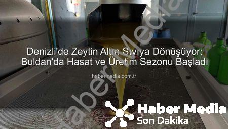 Denizli’de Zeytin Altın Sıvıya Dönüşüyor: Buldan’da Hasat ve Üretim Sezonu Başladı