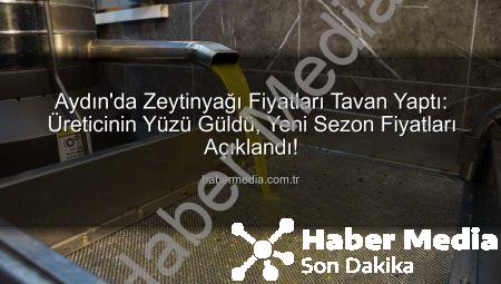 Aydın’da Zeytinyağı Fiyatları Tavan Yaptı: Üreticinin Yüzü Güldü, Yeni Sezon Fiyatları Açıklandı!