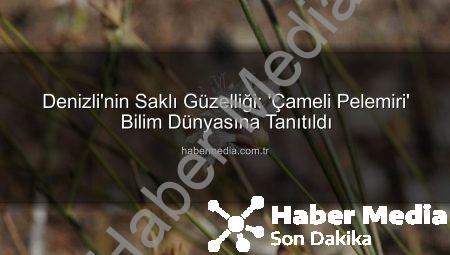 Denizli’nin Saklı Güzelliği: ‘Çameli Pelemiri’ Bilim Dünyasına Tanıtıldı