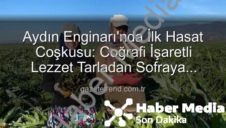 Aydın Enginarı’nda İlk Hasat Heyecanı: Coğrafi İşaretli Lezzet Tarlada Buluştu