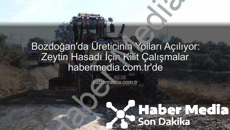 Bozdoğan’da Üreticinin Yolları Açılıyor: Zeytin Hasadı İçin Kilit Çalışmalar habermedia.com.tr’de
