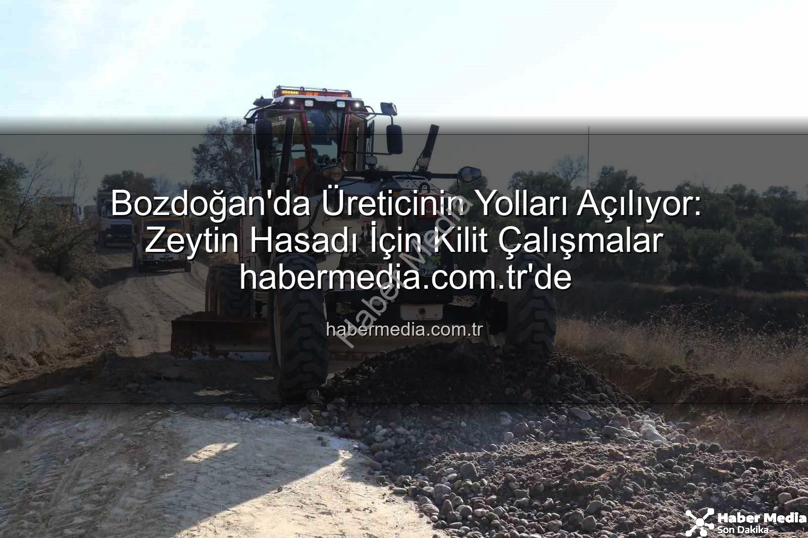 Bozdoğan'da Üreticinin Yolları Açılıyor: Zeytin Hasadı İçin Kilit Çalışmalar habermedia.com.tr'de