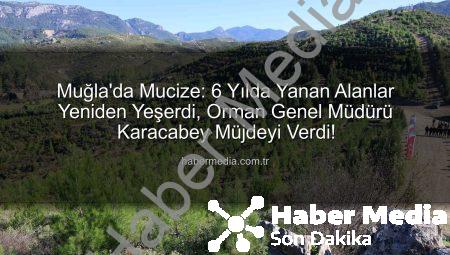 Muğla’da Mucize: 6 Yılda Yanan Alanlar Yeniden Yeşerdi, Orman Genel Müdürü Karacabey Müjdeyi Verdi!