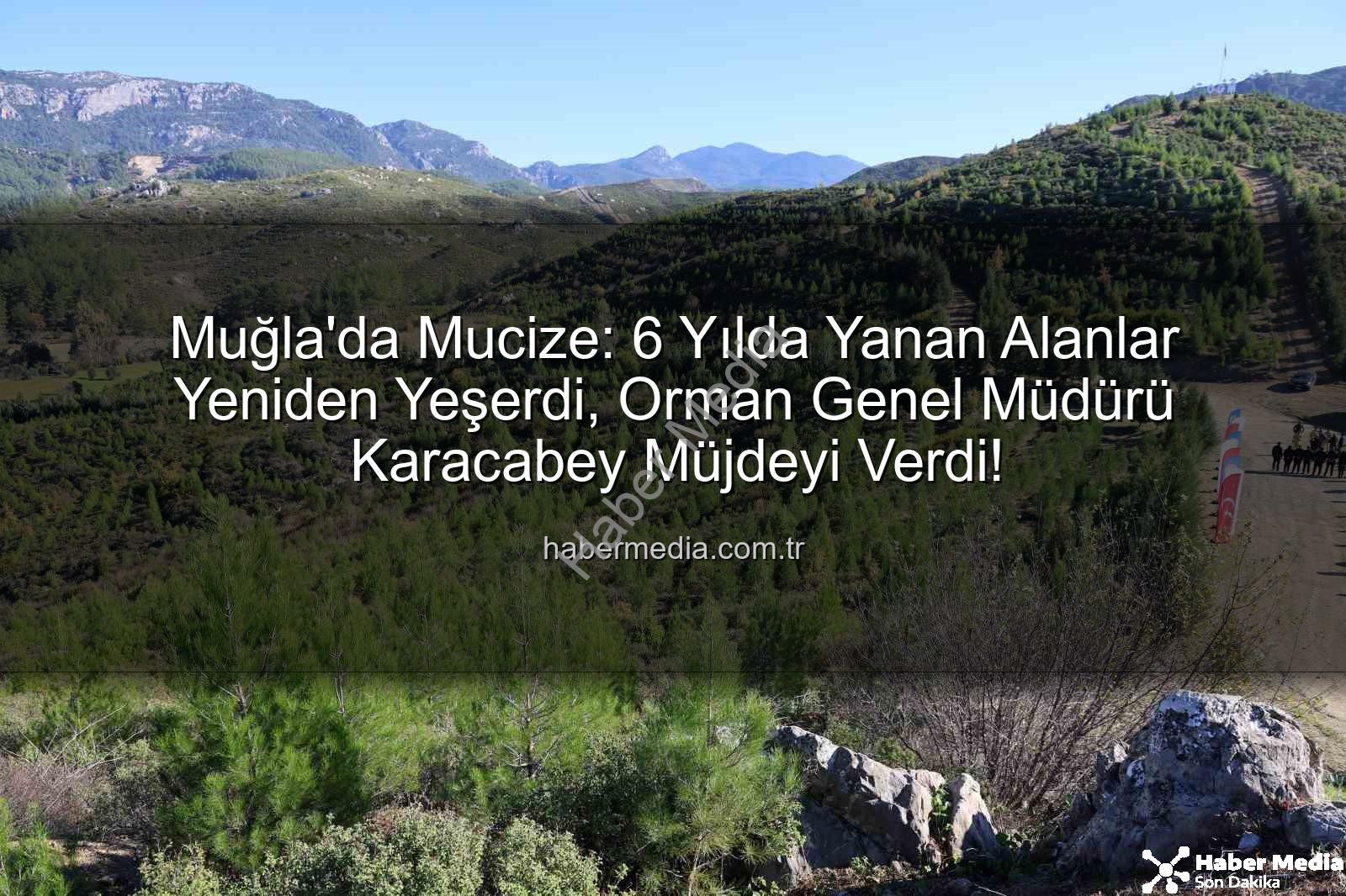 yanan ormanlar - Muğla'da Mucize: 6 Yılda Yanan Alanlar Yeniden Yeşerdi, Orman Genel Müdürü Karacabey Müjdeyi Verdi!